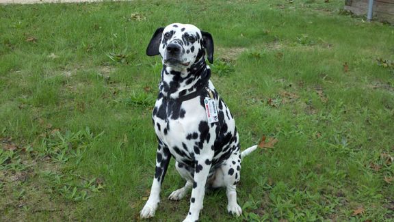 Fire Prevention Day DB (68).jpg