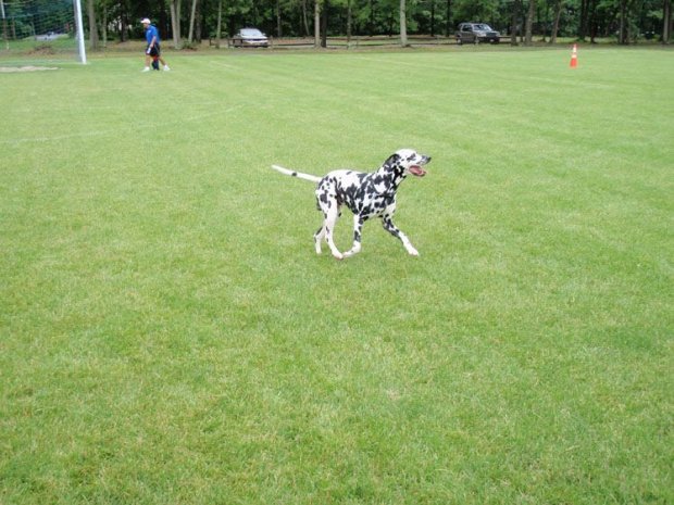 Community Day 2009 (44).jpg