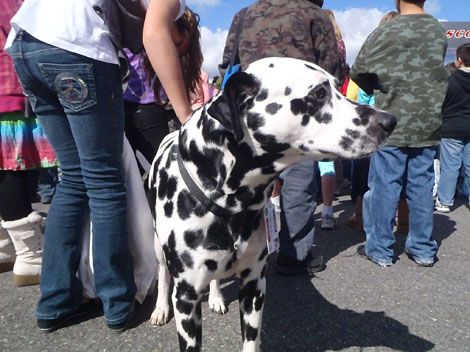 Fire Prevention Day 2010 (79).jpg